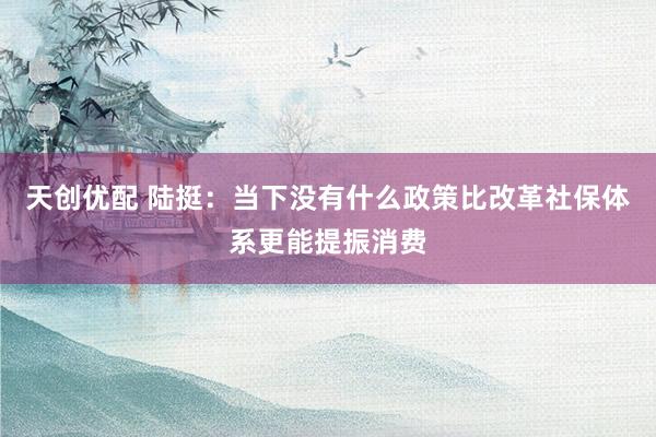 天创优配 陆挺：当下没有什么政策比改革社保体系更能提振消费