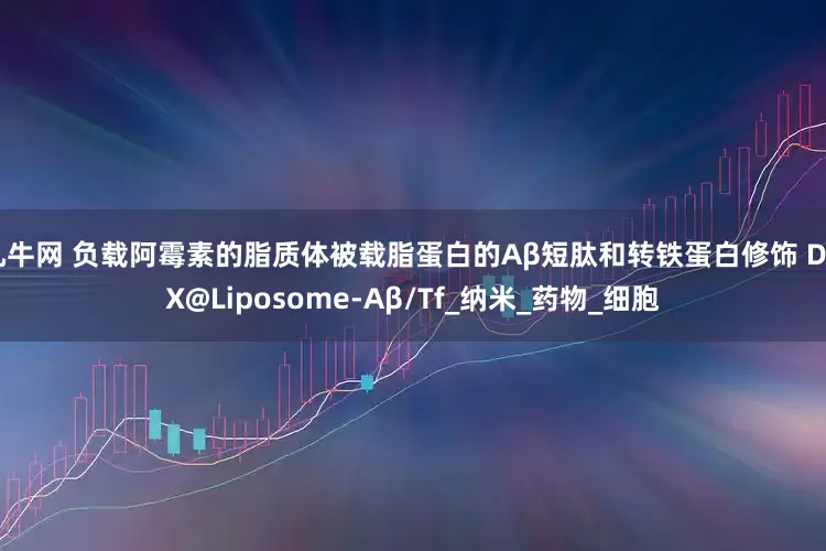 九牛网 负载阿霉素的脂质体被载脂蛋白的Aβ短肽和转铁蛋白修饰 DOX@Liposome-Aβ/Tf_纳米_药物_细胞