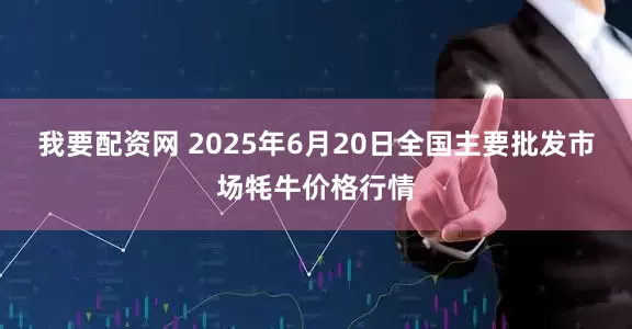 我要配资网 2025年6月20日全国主要批发市场牦牛价格行情