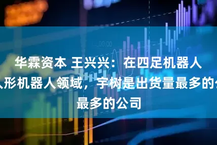 华霖资本 王兴兴：在四足机器人和人形机器人领域，宇树是出货量最多的公司