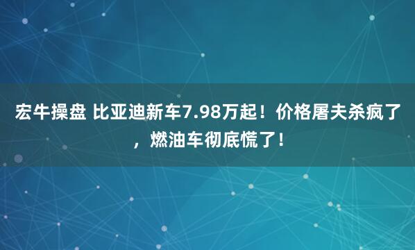 宏牛操盘 比亚迪新车7.98万起！价格屠夫杀疯了，燃油车彻底慌了！