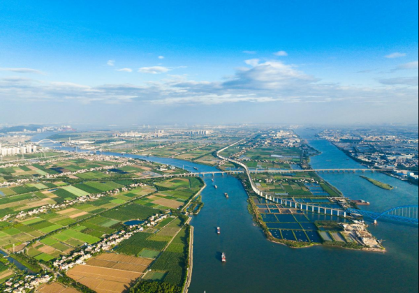 长宏网 蟹肥鱼跃迎丰收，2025广州丰收节主会场为何“锁定”南沙？