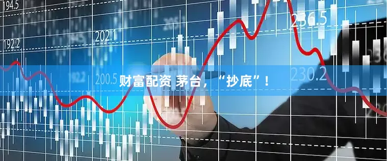 财富配资 茅台，“抄底”！