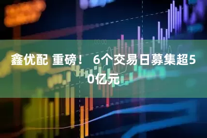 鑫优配 重磅！ 6个交易日募集超50亿元