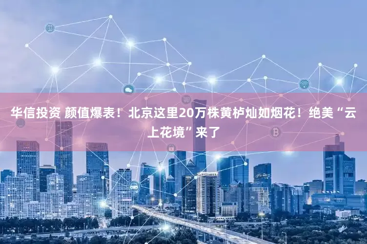 华信投资 颜值爆表！北京这里20万株黄栌灿如烟花！绝美“云上花境”来了